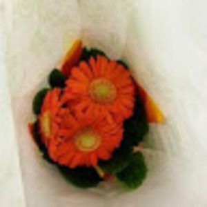 Meet your Posher, Tania